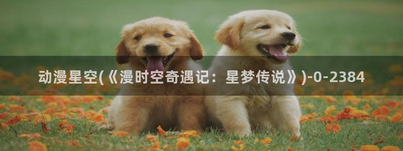 海贼王在线观看全集免费樱花动漫